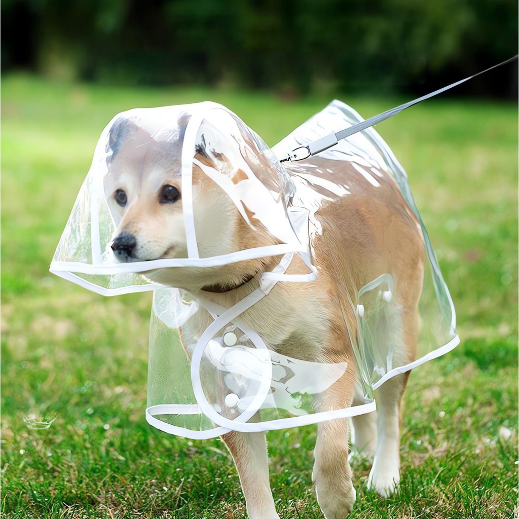 Capa de Chuva Transparente Impermeável para Cães
