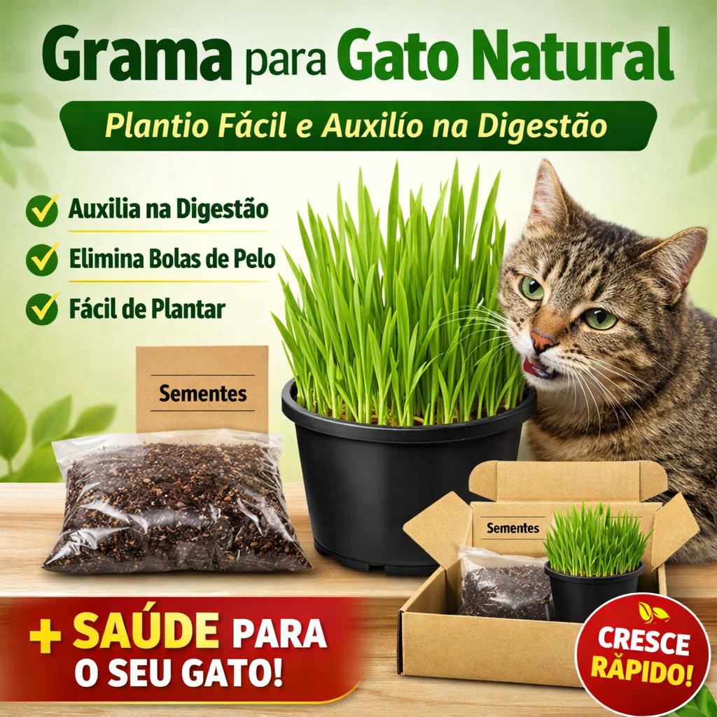 Grama para Gato Natural  Plantio Fácil e Auxilia 