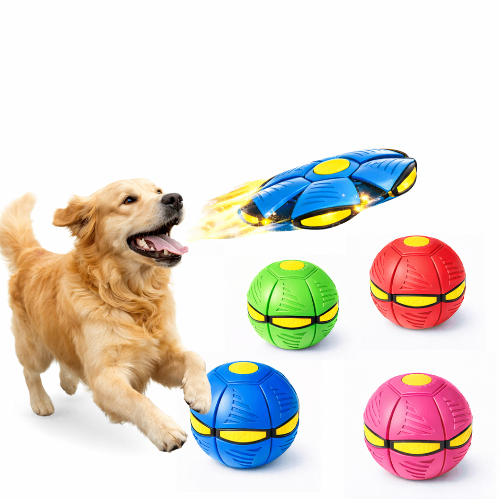 Brinquedo Para Cachorro Bola Mágica Disco Voador