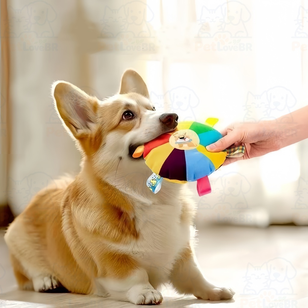 Brinquedo Interativo Frisbee para Cães C5GOON Ade