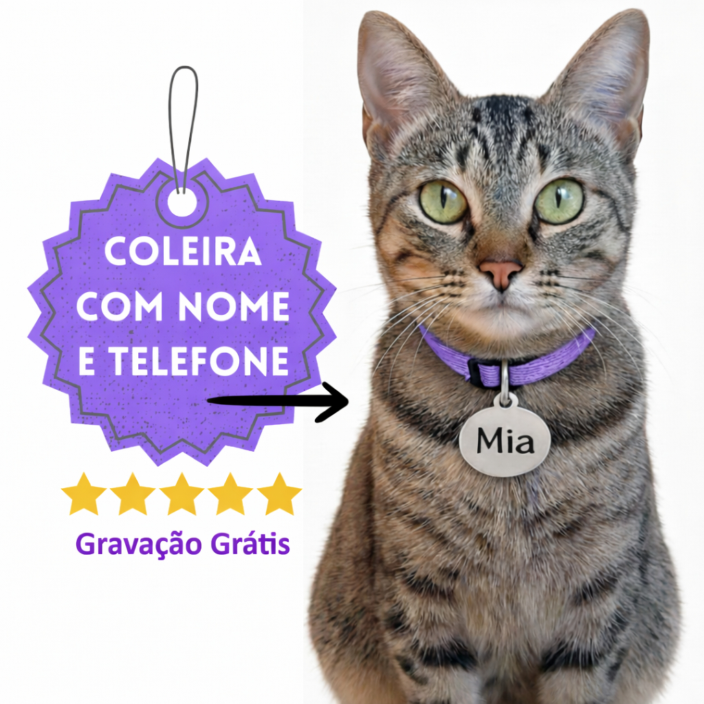 Coleira para Gato Anti Enforcamento com Identifica