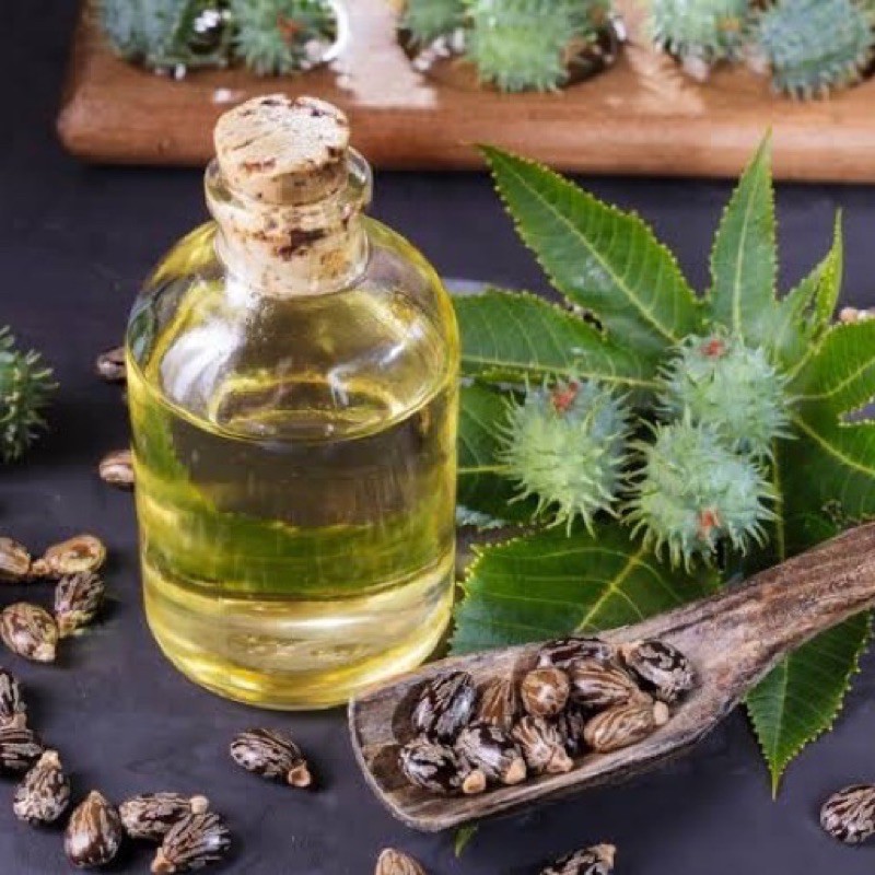 Óleo Vegetal Rícino (Mamona – Prensado à 
