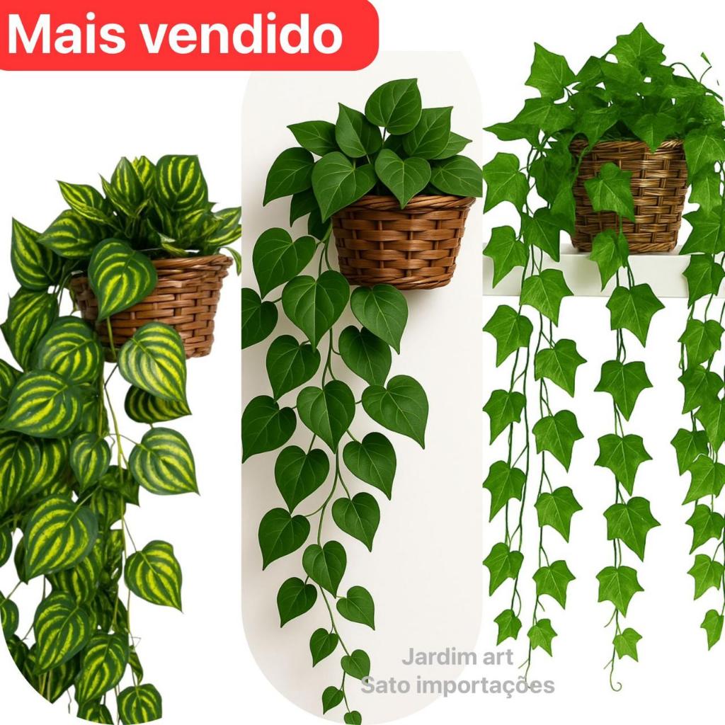 Arranjo c/ 3 Trepadeira Folha de Hera + Vaso Tran�