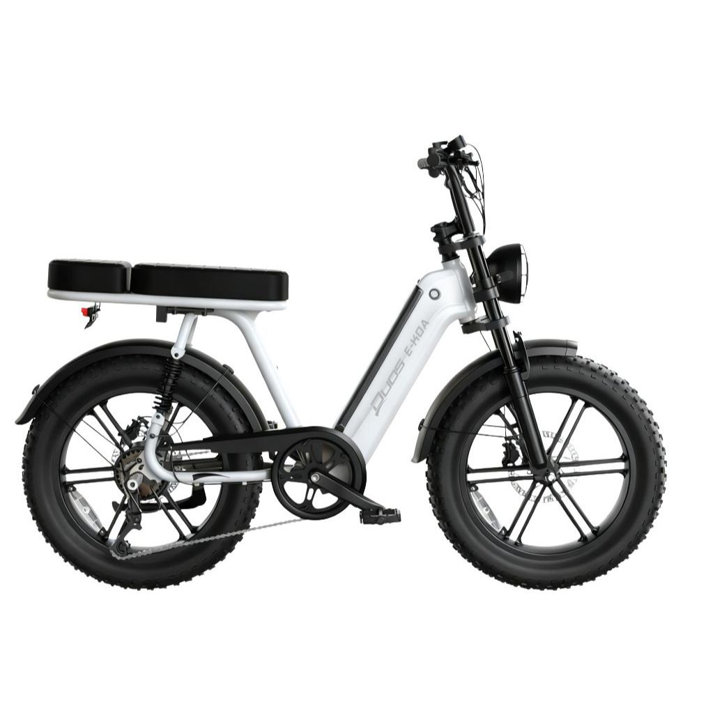 Bicicleta Elétrica Duos E-Koa 1000w Bateria De L